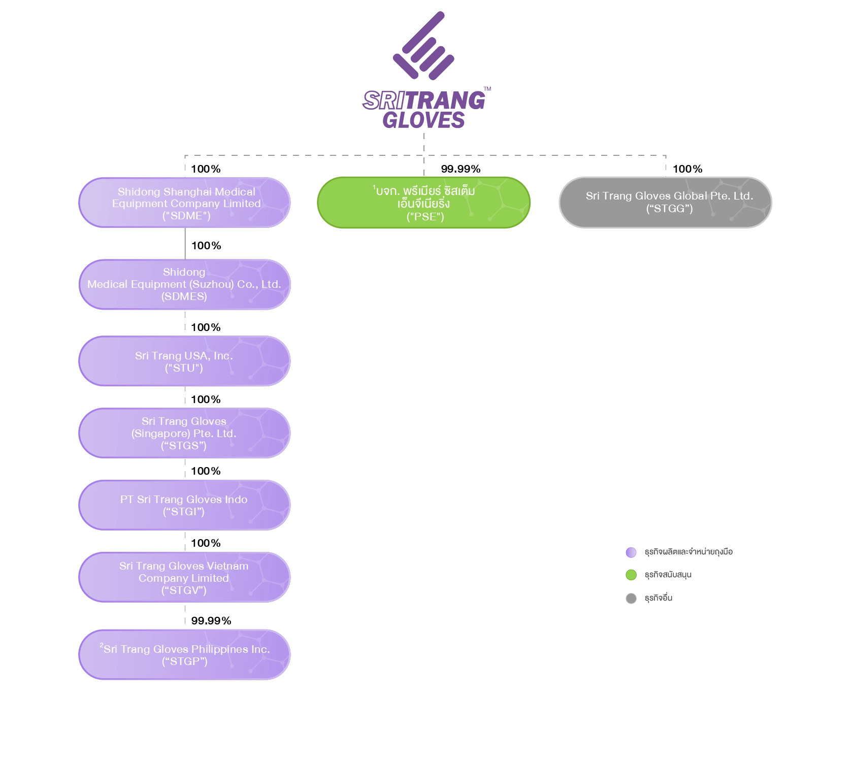 shareholding structure of the-group