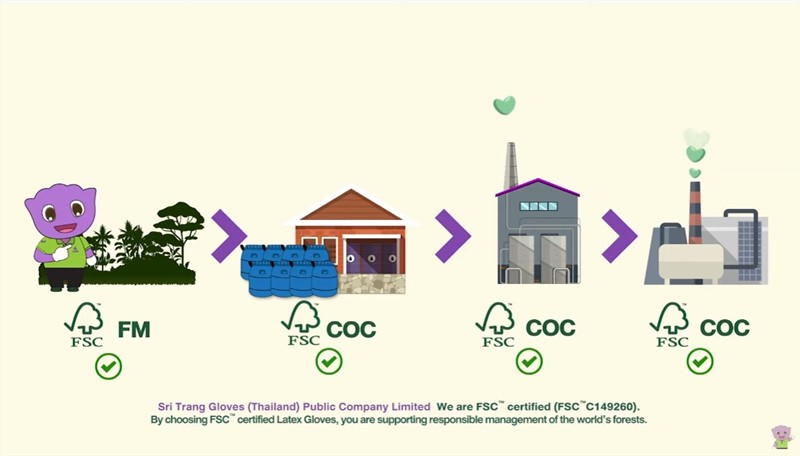 Sri Trang Gloves (STGT) proudly received the FSC COC