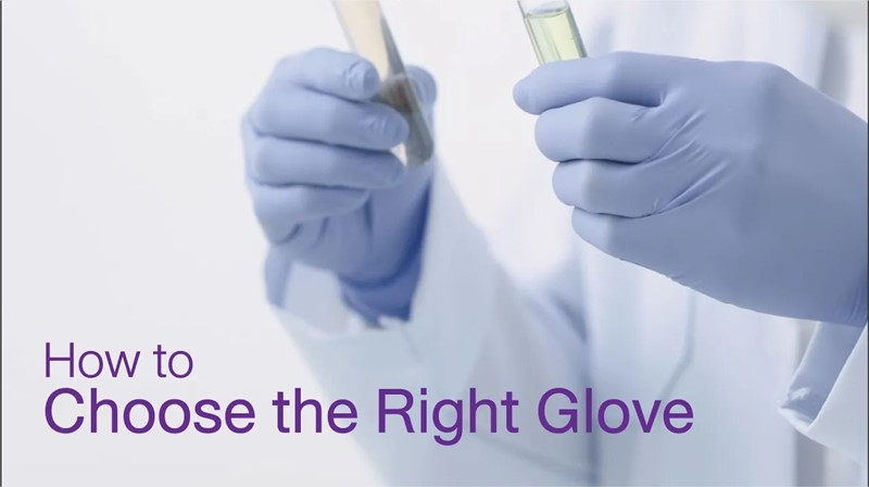 How to Choose the Right Gloves (Eng Version)