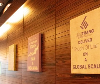 sri trang gloves (thailand) public company limited