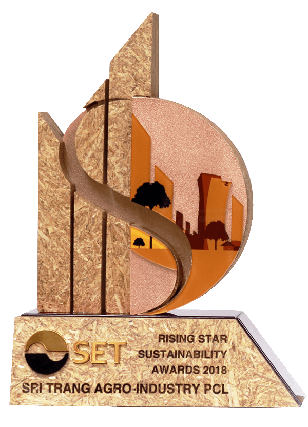 2018 Set Rising Star Sustainability Award