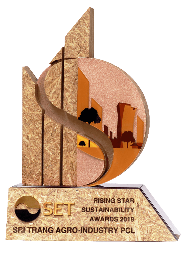 2018  Set Rising Star Sustainability Award