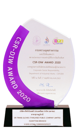 2020 CSR-DIW Award