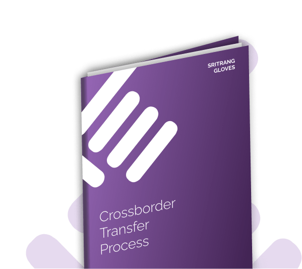 Crossborder Transfer Process Cover