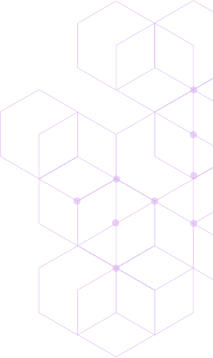 image bg