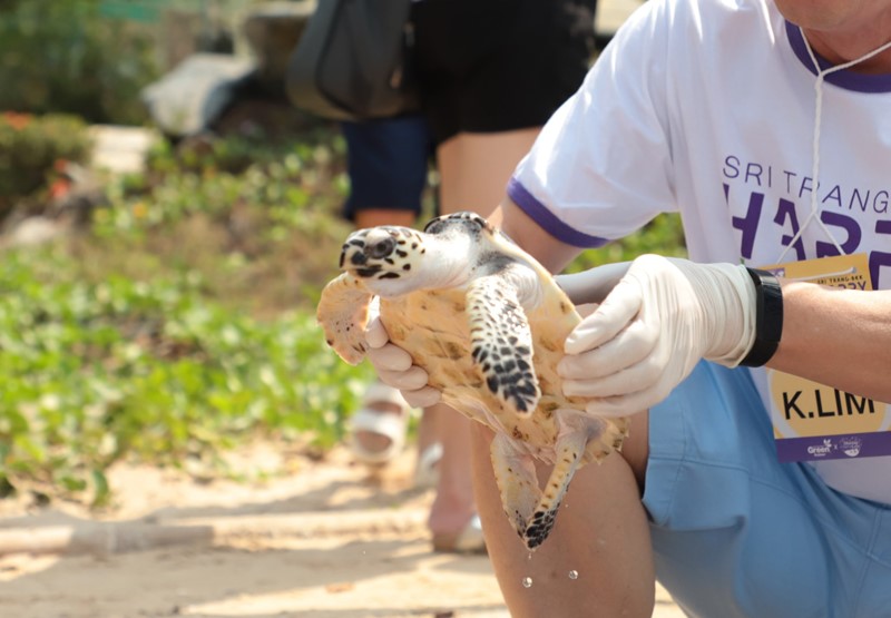 Love & Care Sea Life